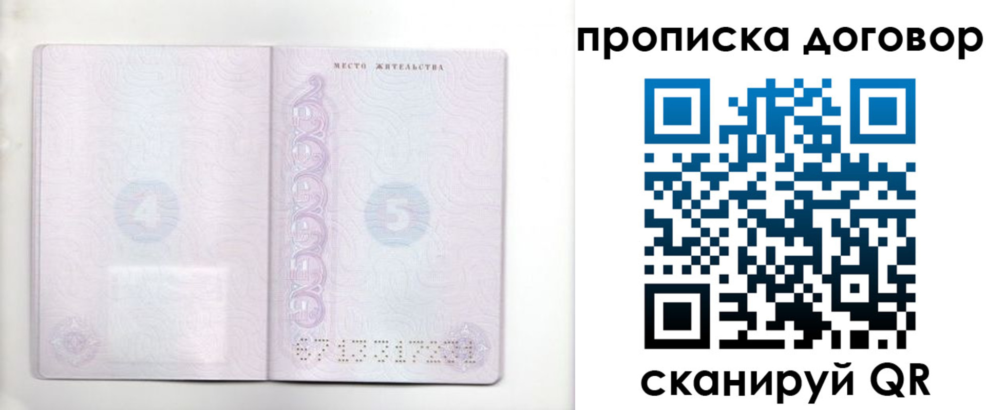 купить прописку в Торопеце